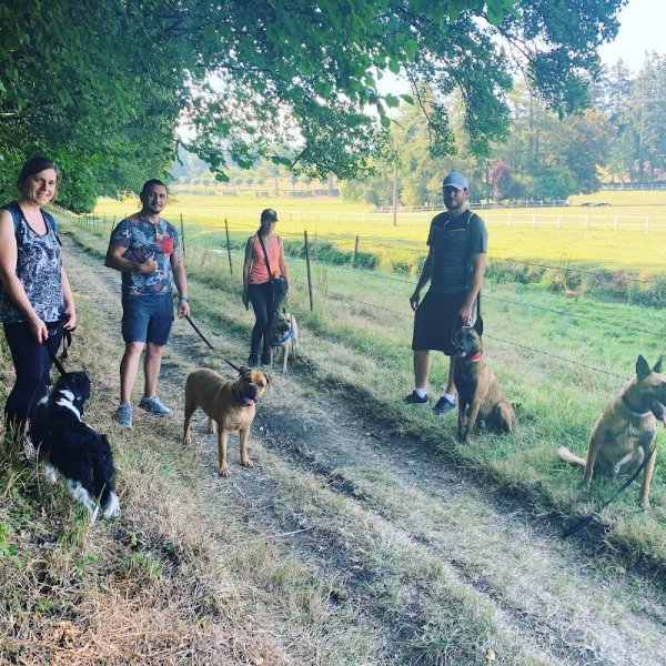 ABAMA CARE - Education canine - photo 3