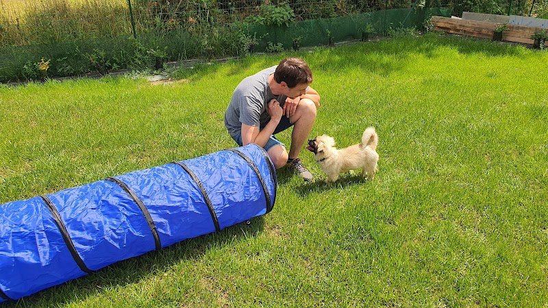 Vardruina, éducateur canin, coach comportementaliste animalier en Mayenne 53