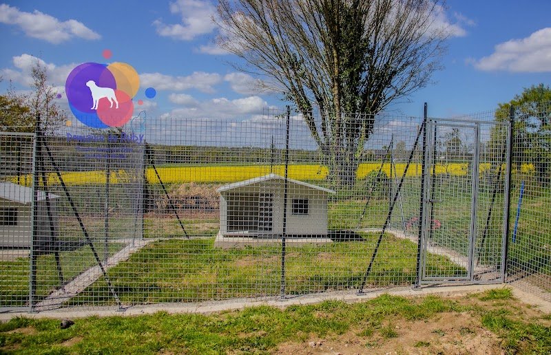 Domaine de Ruby Pension canine et féline