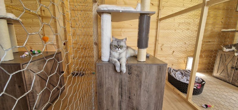 Domaine de Ruby Pension canine et féline - photo 2