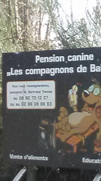 Pension canine Les Compagnons de Balthus - photo 2