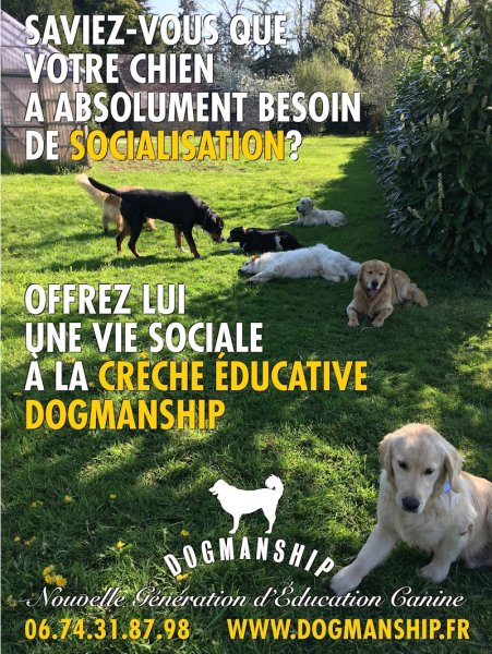 Dogmanship - photo 3