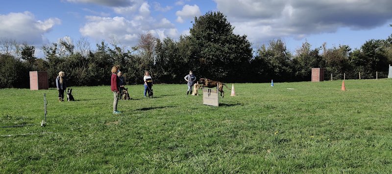 Sport Canin Sabolien - photo 1