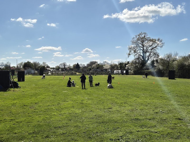 Sport Canin Sabolien - photo 2