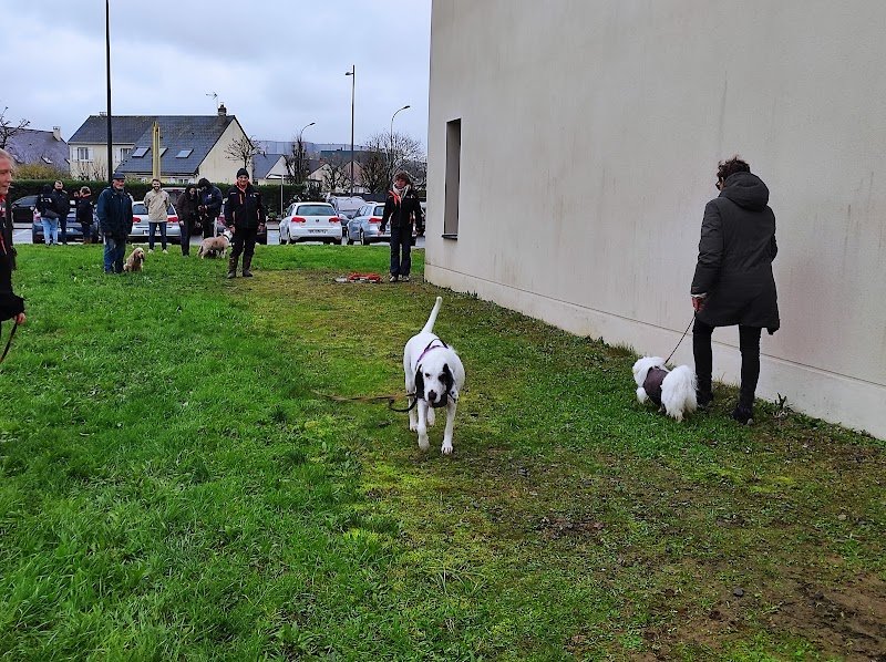 Sport Canin Sabolien - photo 3