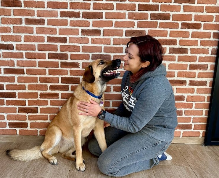 A l'écoute des animaux - Charlène B - Kinésiologie Animale & Education Canine Sarthe Mayenne