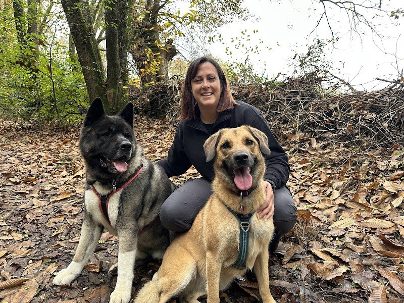 A l'écoute des animaux - Charlène B - Kinésiologie Animale & Education Canine Sarthe Mayenne - photo 2