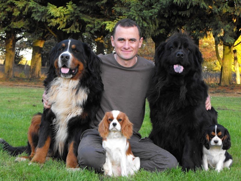 pension canine et féline et éducation du haras du breil - photo 2