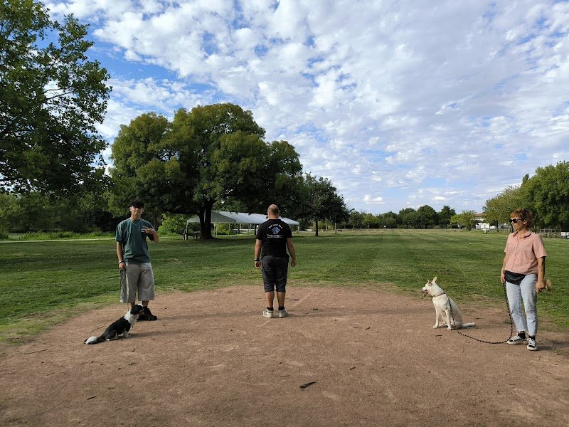 Pat and dog éducateur canin Nantes - photo 2