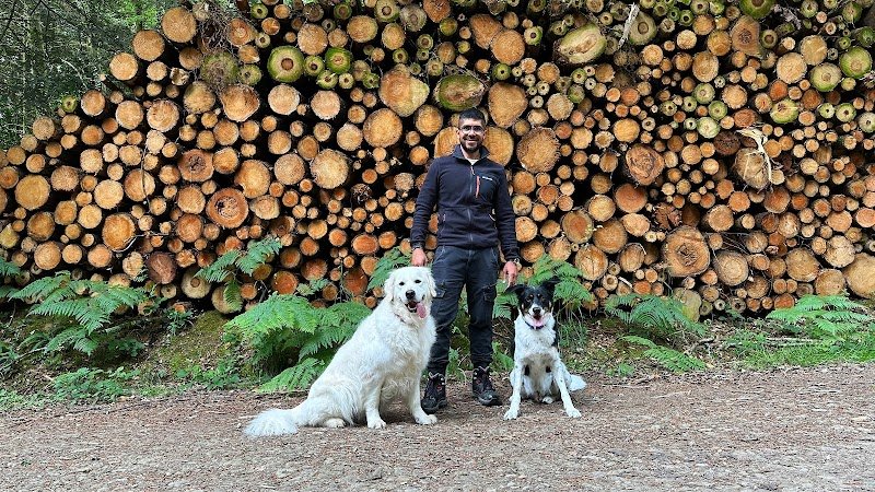 SEMPER DOGZ - Educateur canin comportementaliste