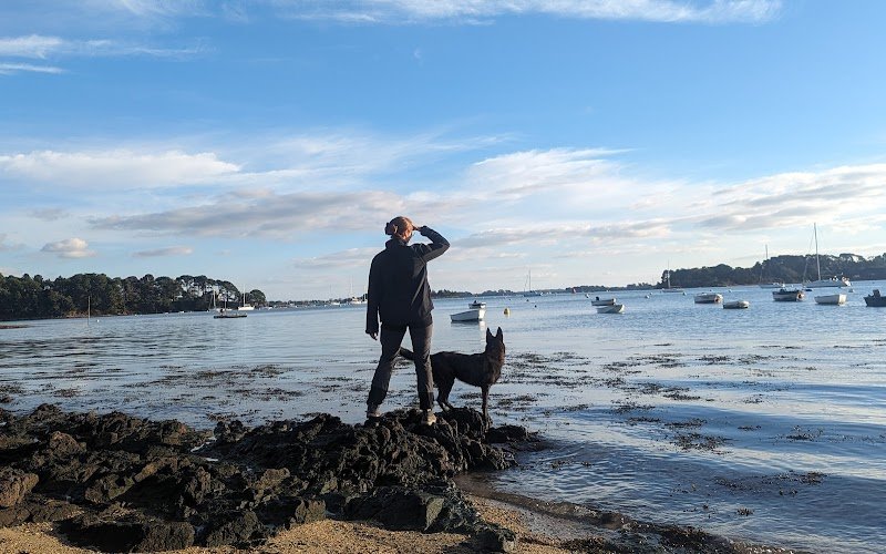 Avenir Canin - Éducateur / Comportementaliste Canin