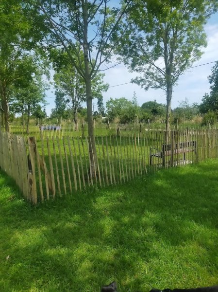 Parc canin de Kermesquel