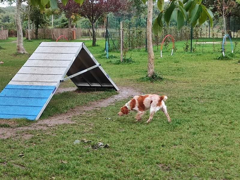 Parc canin de Kermesquel - photo 3