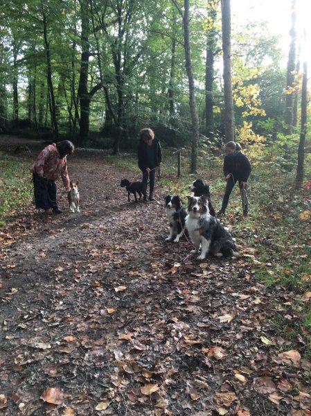 Canizenah - Éducation canine - photo 2