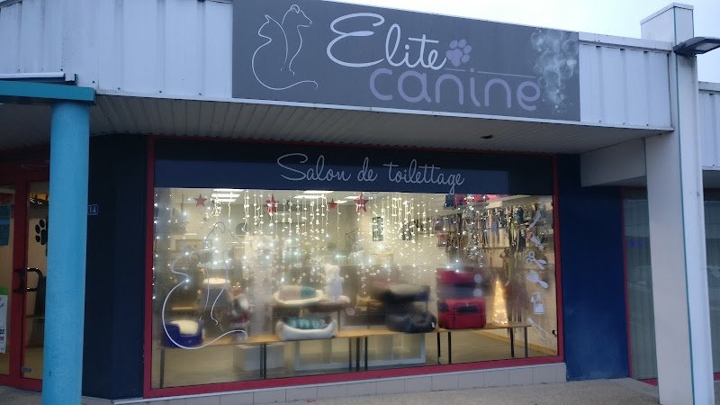 Elite Canine