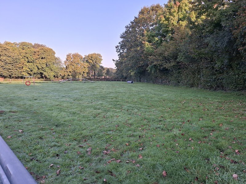 Ch'à L'écoute - Comportementaliste canin et félin - Educateur canin - Vannes / Sulniac / Elven / Questembert - 56