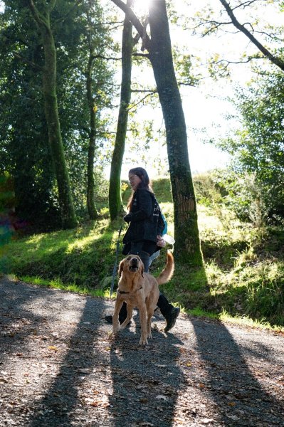 DK Dog - Camille LE MENEAH - Éducatrice canin comportementaliste - Questembert - photo 2