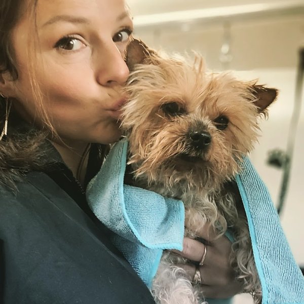 Bon chic bon chien toilettage - photo 1