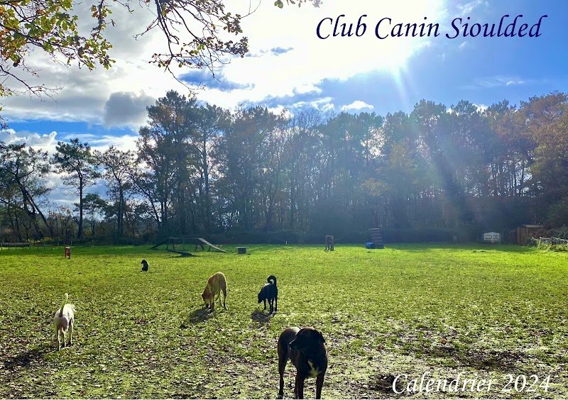 Club Canin Sioulded- éducateur comportementaliste canin - séances individuelles, collectives -