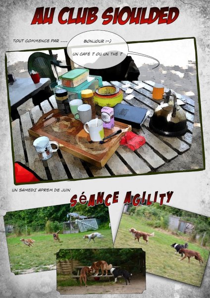 Club Canin Sioulded- éducateur comportementaliste canin - séances individuelles, collectives - - photo 2