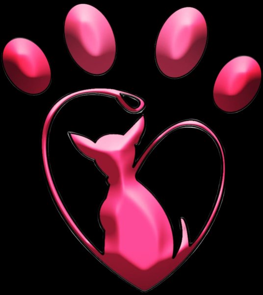 MaÉduc'Canin , Terrain d'éducation canine - photo 2