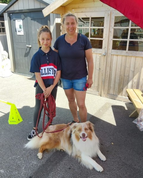 Wouf in the city, éducation canine. Pension, alimentation - photo 2