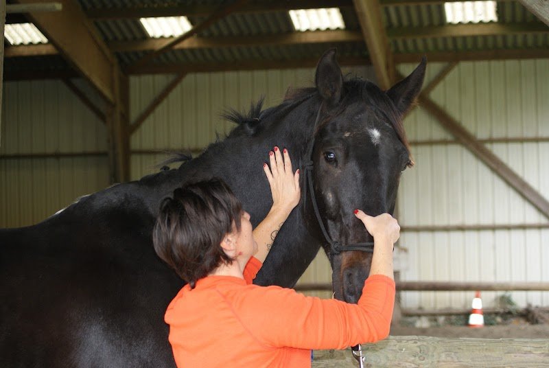 Marjorie masseur canin et equin - photo 3
