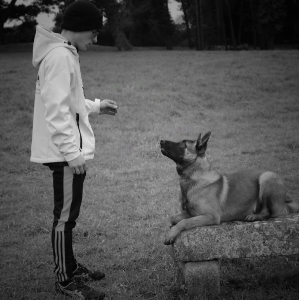 Happy Dog Breizh - photo 3