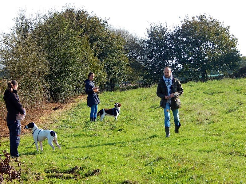 Romain Moussay - Éducateur canin diplômé d'état - Certifié comportementaliste et médiateur. - photo 3