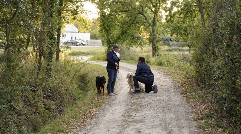 PG éducateur canin - photo 2