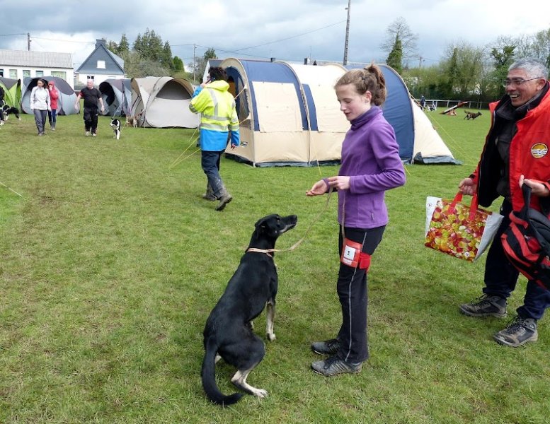 CLUB CANIN GUISCRIFF