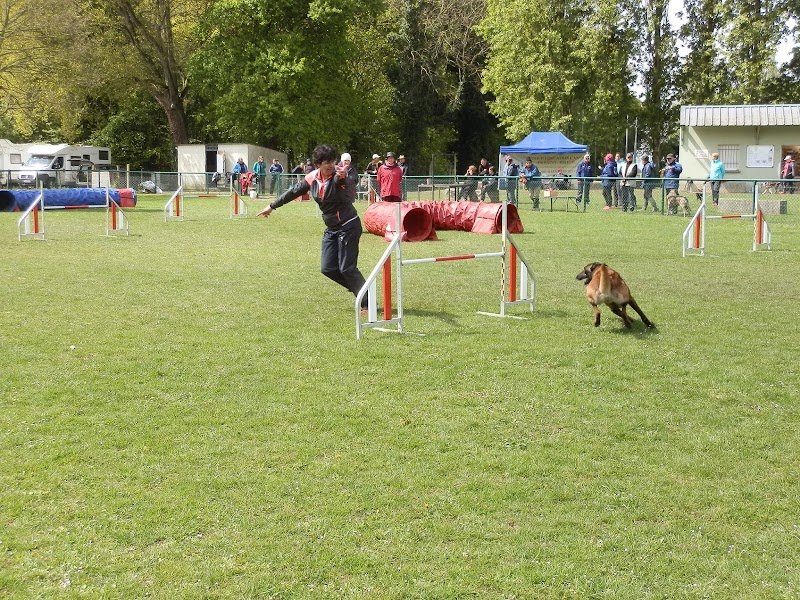 CLUB CANIN GUISCRIFF - photo 2