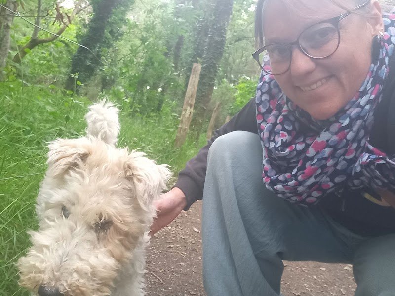 Pension canine familiale Croc la vie - photo 3