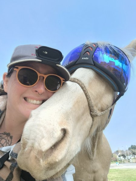 Les Pattes à Sel Comportementaliste 🐶🐱🐴 - photo 2