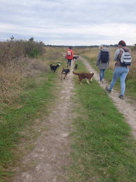 Expressions Canines 44 - Educatrice et Comportementaliste Canin sur Guérande et la Presqu'île de Guérande - photo 2
