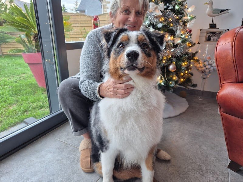 Breizh Canin - photo 2