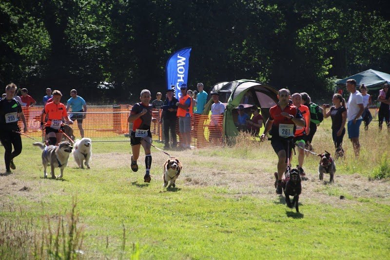 All 4 Dog Sports - photo 2