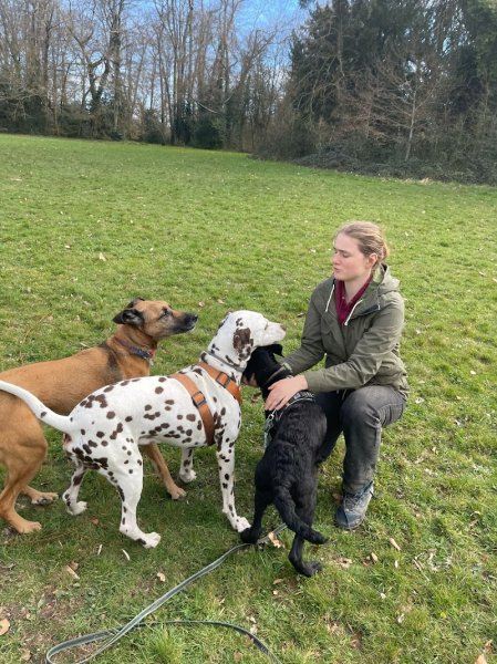 Ker Wouf - Pension canine - Dog sitting - Garde de chiens