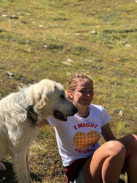 Ker Wouf - Pension canine - Dog sitting - Garde de chiens - photo 2