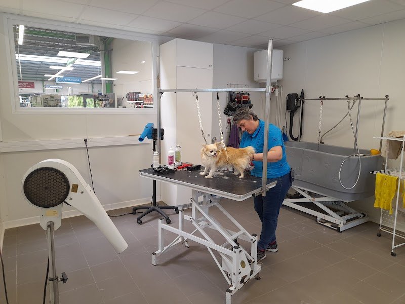 Salon de toilettage canin Point Vert Josselin