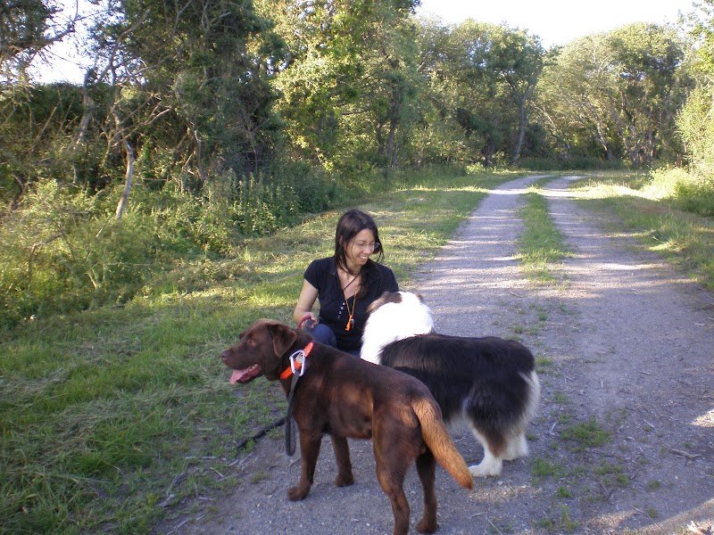 F'animo - Pension canine, visites à domicile.