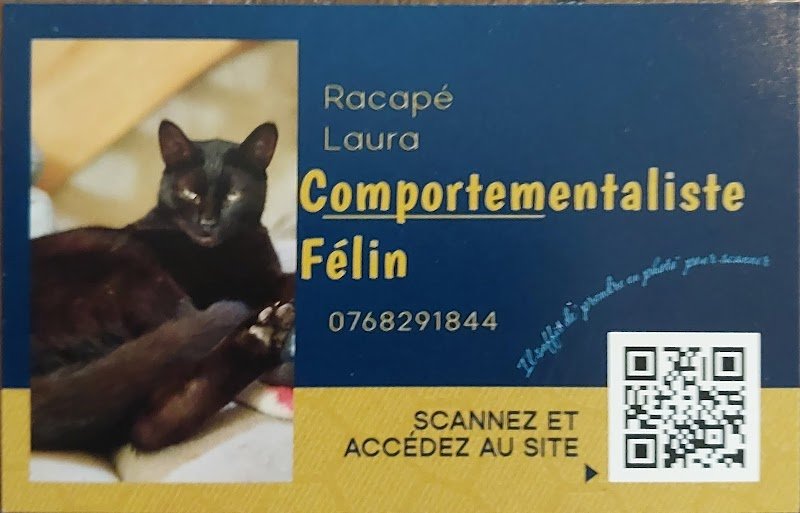 Laura comportementaliste félins - photo 2