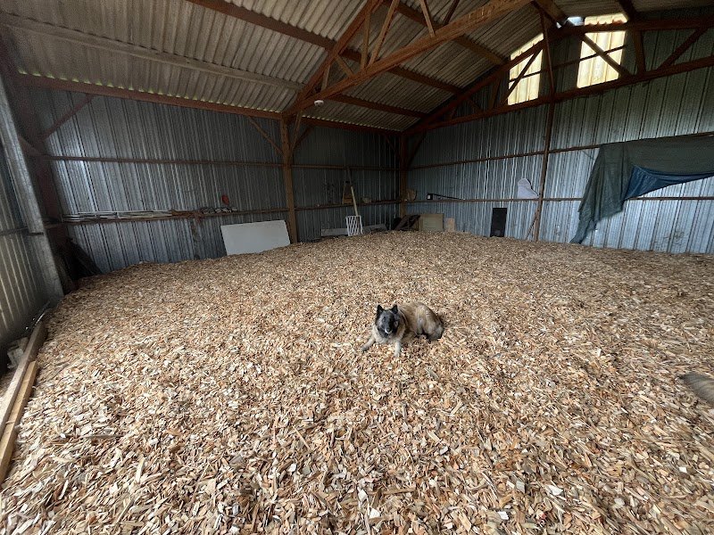 Rising Sun Garden - Pension Equine Canine Feline - photo 3