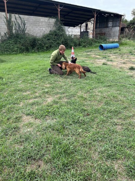 Centre Canin Symmiose - Éducation et Rééducation canine - photo 2