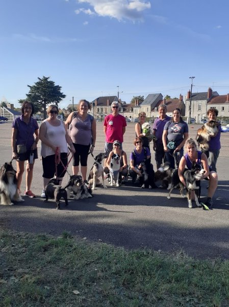 Agility Education Chien Chiot Vierzon - photo 1