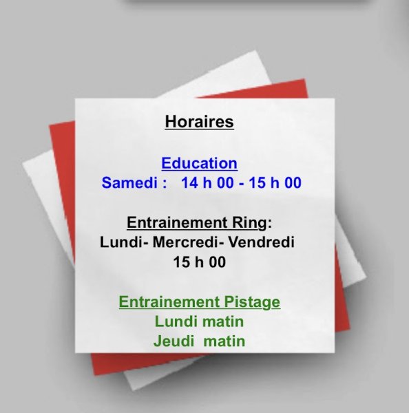 Sport canin Vierzonnais - photo 2