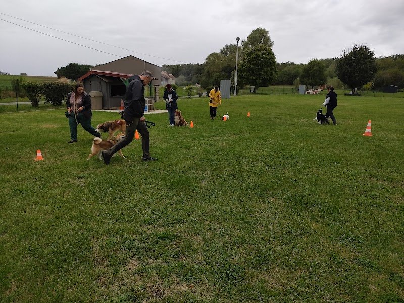 Club Cynophile de Saint Doulchard