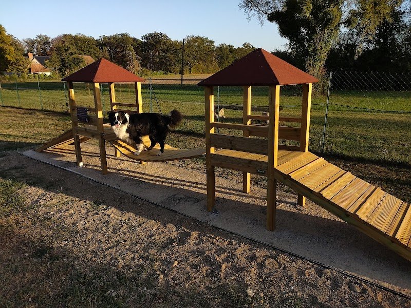 Club Cynophile de Saint Doulchard - photo 2