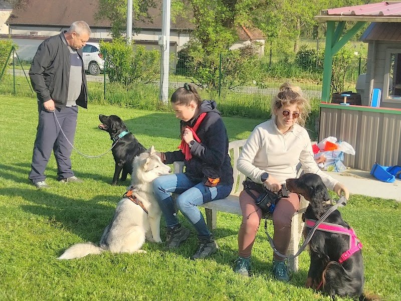 Club Cynophile de Saint Doulchard - photo 3