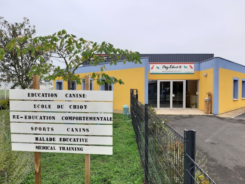 Dog Educ 18 - photo 2